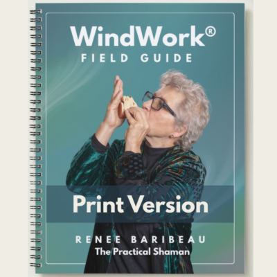 A photo of a WindWork Field Guide