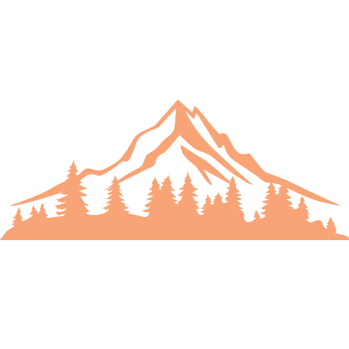 Icon 3